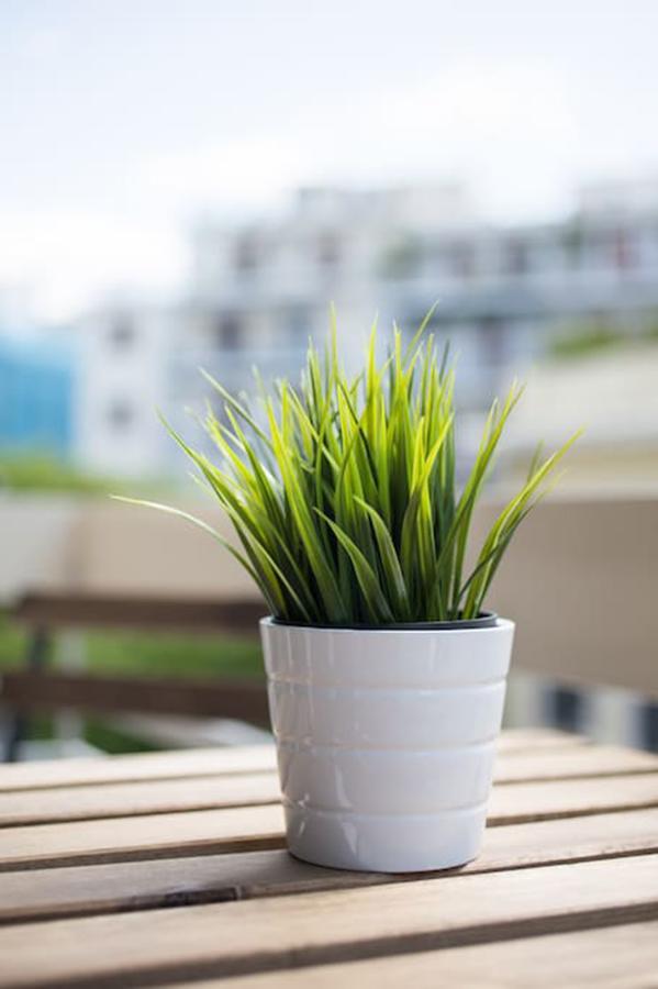 Bright Flat Near The Acropolis By Upstreet Apartment Athena Bagian luar foto